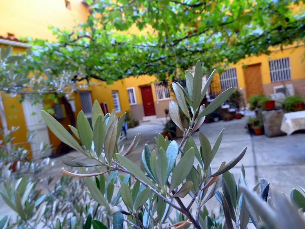 Apartment Olivar Madrid Phòng bức ảnh